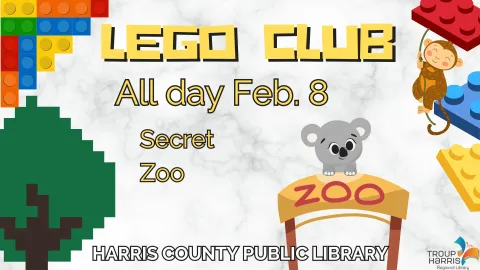 LEGO Club