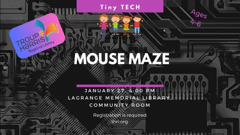 Tiny Tech: Mouse Maze