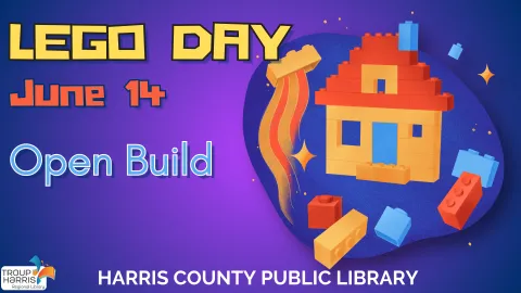 lego day