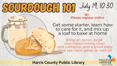 sourdough 101