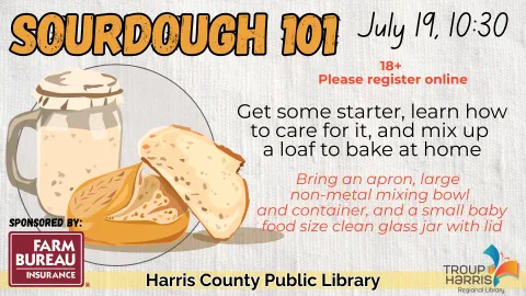 sourdough 101