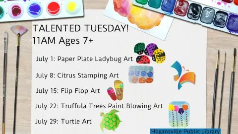 Turtle Art 