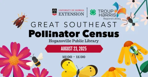 Great Southeast Pollinator Census