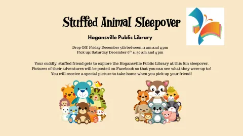 Stuffed Animal Sleepover