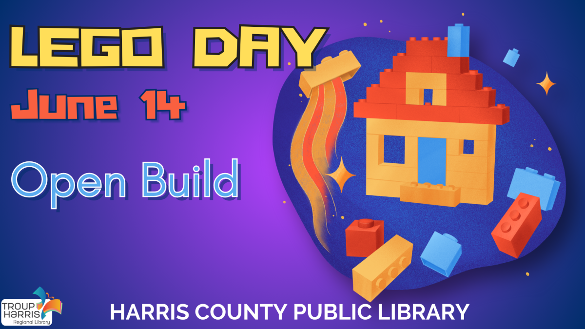 lego day