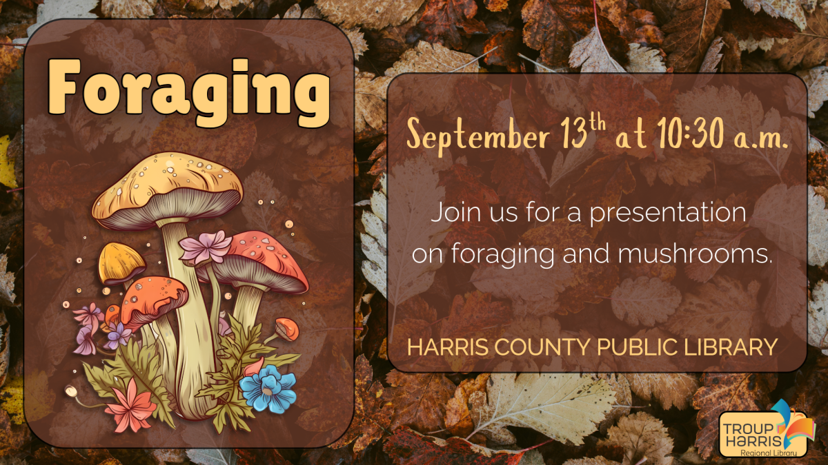 foraging